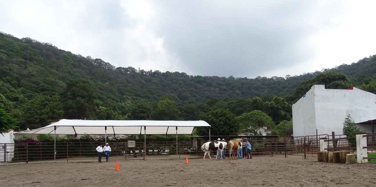 Actividades con caballos