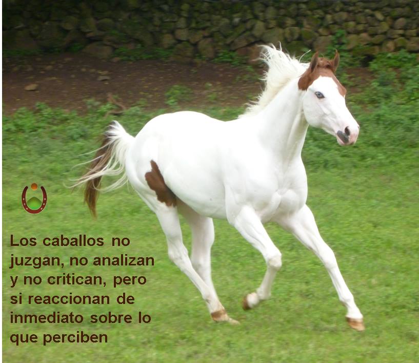 Panorámica del rancho