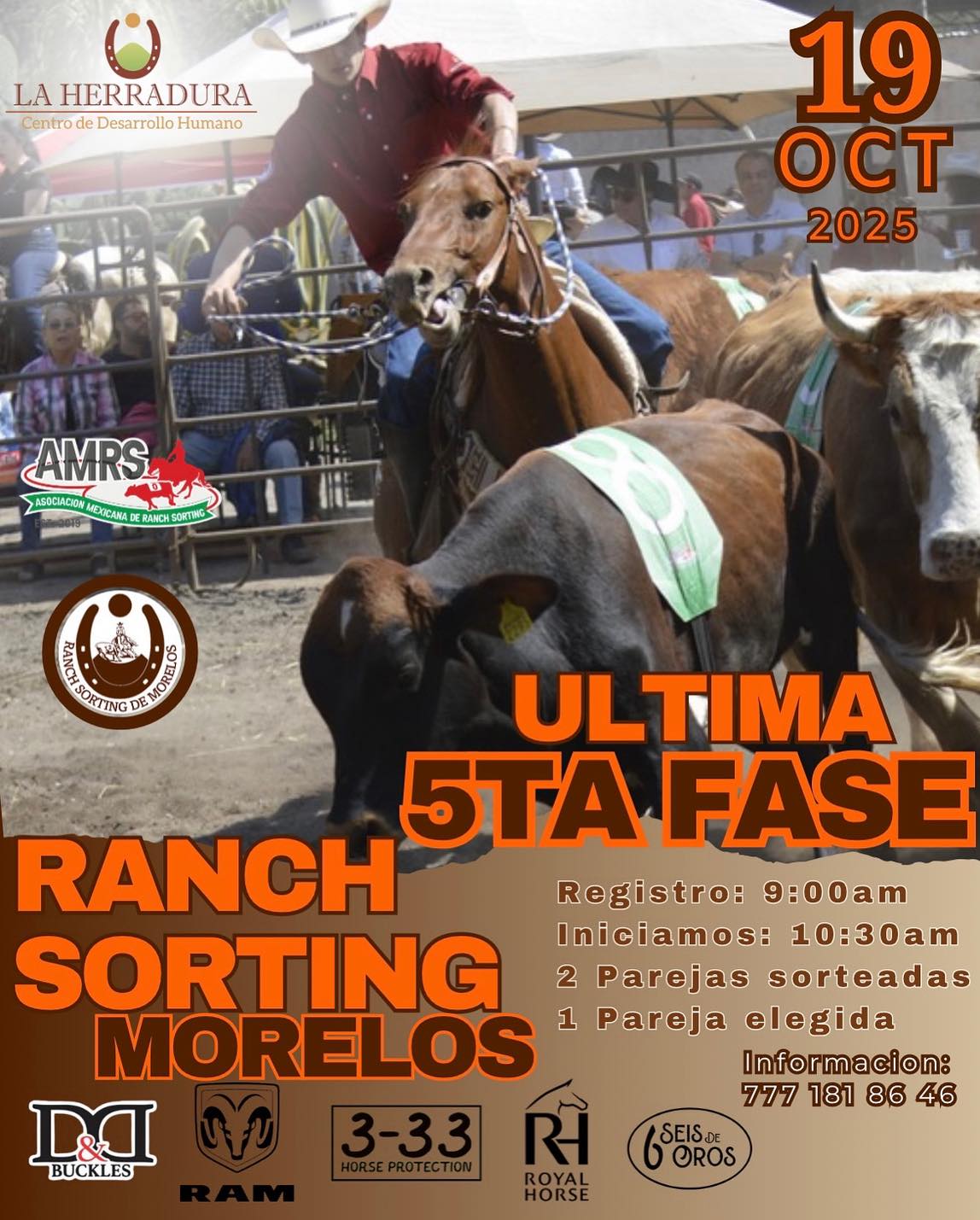 Ranch Sorting Morelos
