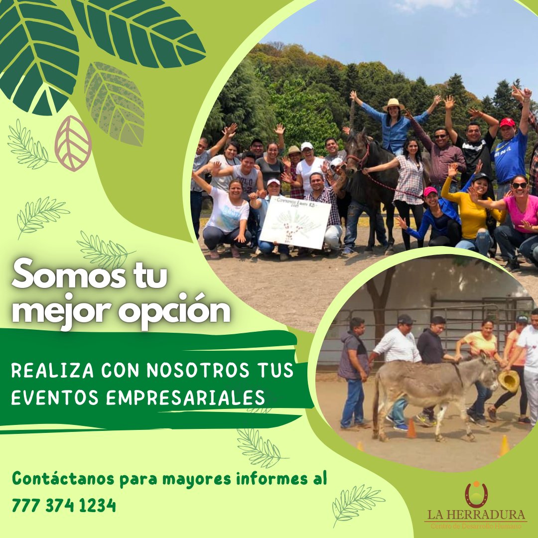 Constelaciones con Caballos