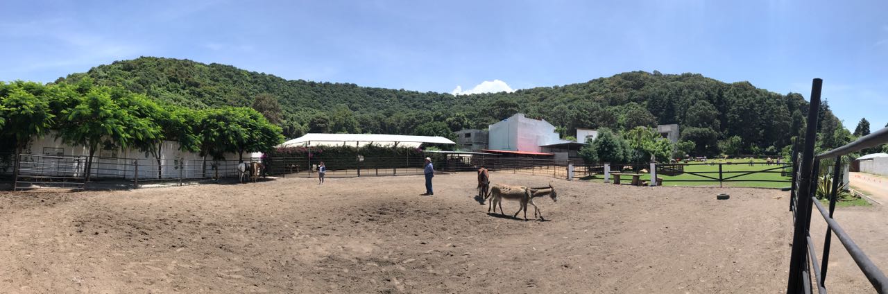 Caballos en La Herradura, Cuernavaca